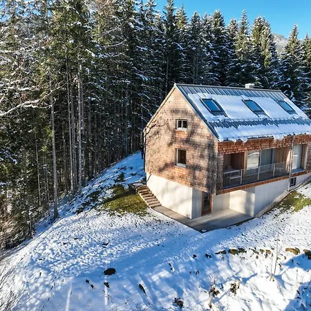 Z91 - Skandi-architektenhaus Mit Bergblick * 巴德米滕多夫