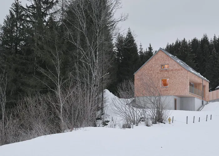 Z91 - Skandi-architektenhaus Mit Bergblick 度假居